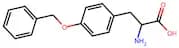 4-Benzyloxy-L-Phenylalanine