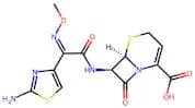 Ceftizoxime