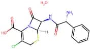 Cefaclor Monohydrate