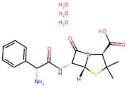 Ampicillin trihydrate