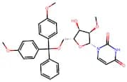5'-O-(4,4'-Dimethoxytrityl)-2'-O-Methyluridine
