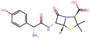 Amoxicillin
