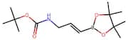 tert-Butyl (3-(4,4,5,5-tetramethyl-1,3,2-dioxaborolan-2-yl)allyl)carbamate
