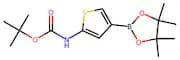 1,1-Dimethylethyl [4-(4,4,5,5-tetramethyl-1,3,2-dioxaborolan-2-yl)-2-thienyl]carbamate