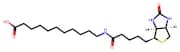 (+)-Biotin-SLC