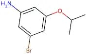 3-Bromo-5-isopropoxyaniline