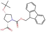 Fmoc-D-Hyp(tBu)-OH