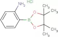 2-Aminobenzeneboronic acid, pinacol ester hydrochloride