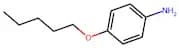 4-(Pentyloxy)aniline