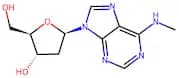 N-6-Methyl-2-deoxyadenosine
