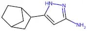 5-(bicyclo[2.2.1]heptan-2-yl)-1H-pyrazol-3-amine