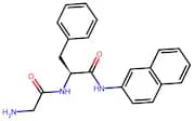 Gly-Phe-β-naphthylamide