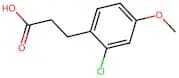 3-(2-Chloro-4-methoxyphenyl)propanoic acid
