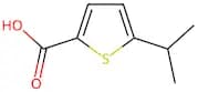 5-(Propan-2-yl)thiophene-2-carboxylic acid