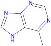 6-Methylpurine