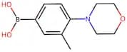 3-Methyl-4-morpholinophenylboronicacid