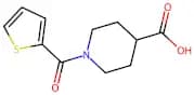 1-(Thiophene-2-carbonyl)-piperidine-4-carboxylic acid