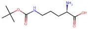 H-D-Orn(Boc)-OH