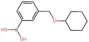 (3-((Cyclohexyloxy)methyl)phenyl)boronic acid