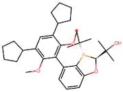 (S,S)-BaryPhos