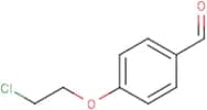 4-(2-Chloroethoxy)benzaldehyde