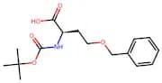 O-Benzyl-N-(tert-butoxycarbonyl)-D-homoserine