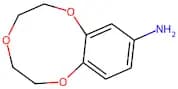 2,3,5,6-Tetrahydrobenzo[b][1,4,7]trioxonin-9-amine