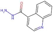 Quinoline-4-carbohydrazide
