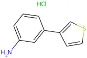 3-(Thiophen-3-yl)aniline hydrochloride