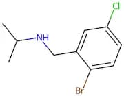 N-(2-Bromo-5-chlorobenzyl)propan-2-amine