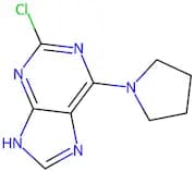 2-Chloro-6-(pyrrolidin-1-yl)-9H-purine
