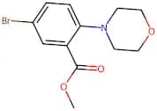 Methyl 5-bromo-2-morpholinobenzoate