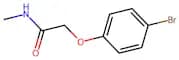 2-(4-Bromophenoxy)-N-methylacetamide