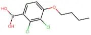 (4-Butoxy-2,3-dichlorophenyl)boronic acid