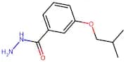3-Isobutoxybenzohydrazide