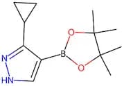 3-Cyclopropyl-4-(4,4,5,5-tetramethyl-1,3,2-dioxaborolan-2-yl)-1H-pyrazole