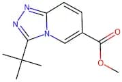 Methyl 3-(tert-butyl)-[1,2,4]triazolo[4,3-a]pyridine-6-carboxylate