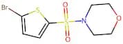 4-((5-Bromothiophen-2-yl)sulfonyl)morpholine