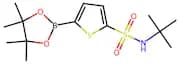 N-(tert-Butyl)-5-(4,4,5,5-tetramethyl-1,3,2-dioxaborolan-2-yl)thiophene-2-sulfonamide