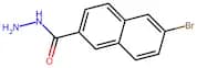 6-Bromo-2-naphthohydrazide