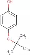 4-(tert-Butoxy)phenol