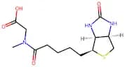 Biotin-Sar-OH