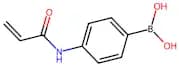 (4-Acrylamidophenyl)boronic acid