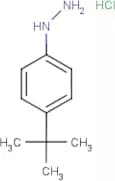 4-(tert-Butyl)phenylhydrazine hydrochloride