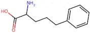 2-Amino-5-phenylpentanoic acid
