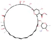 Amphotericin B methyl ester