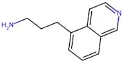 3-(Isoquinolin-5-yl)propan-1-amine