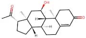 11α-Hydroxy Progesterone