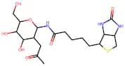 N-glcNAc-Biotin