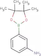 3-Aminobenzeneboronic acid, pinacol ester